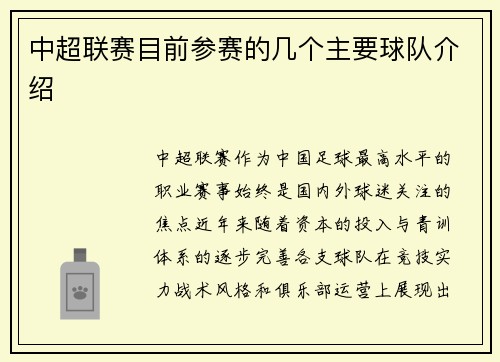 中超联赛目前参赛的几个主要球队介绍
